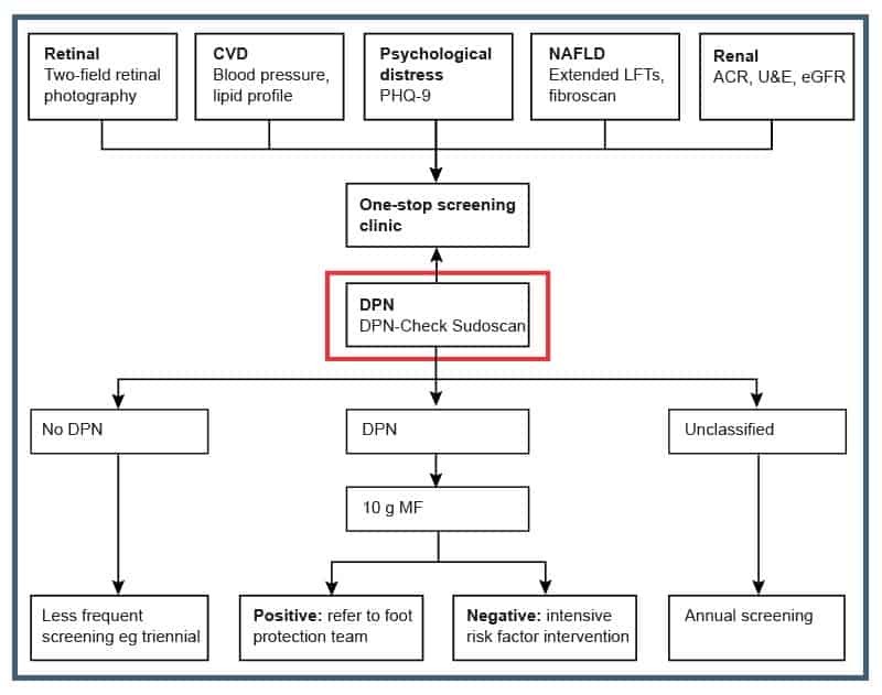 schema-lancet