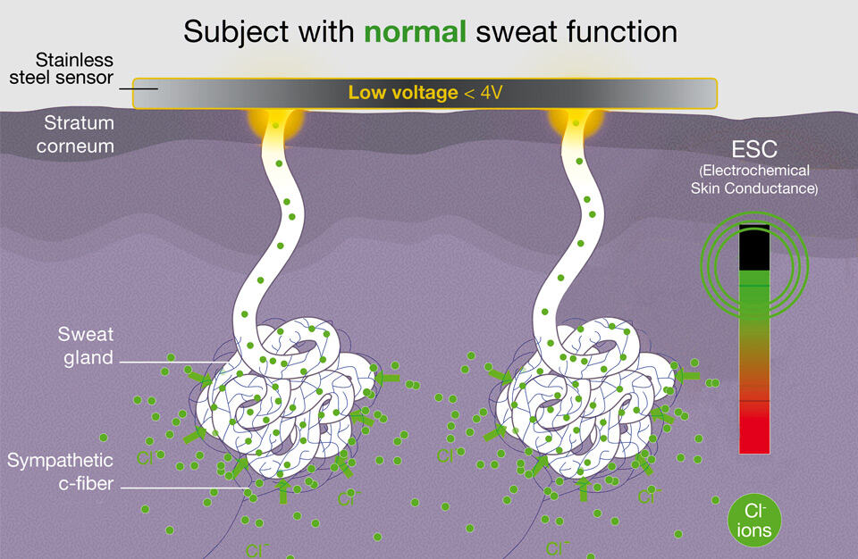 2-shema-sweet-function