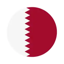 sudoscan-flag-quatar